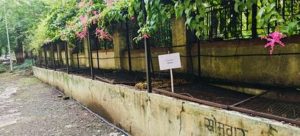 Garden waste composting