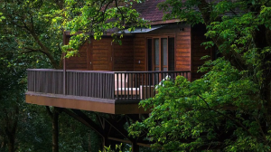 Tamara, Coorg Coffee Resorts